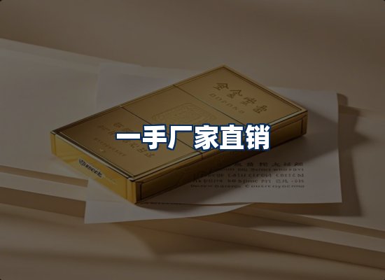 专业团队办公环境